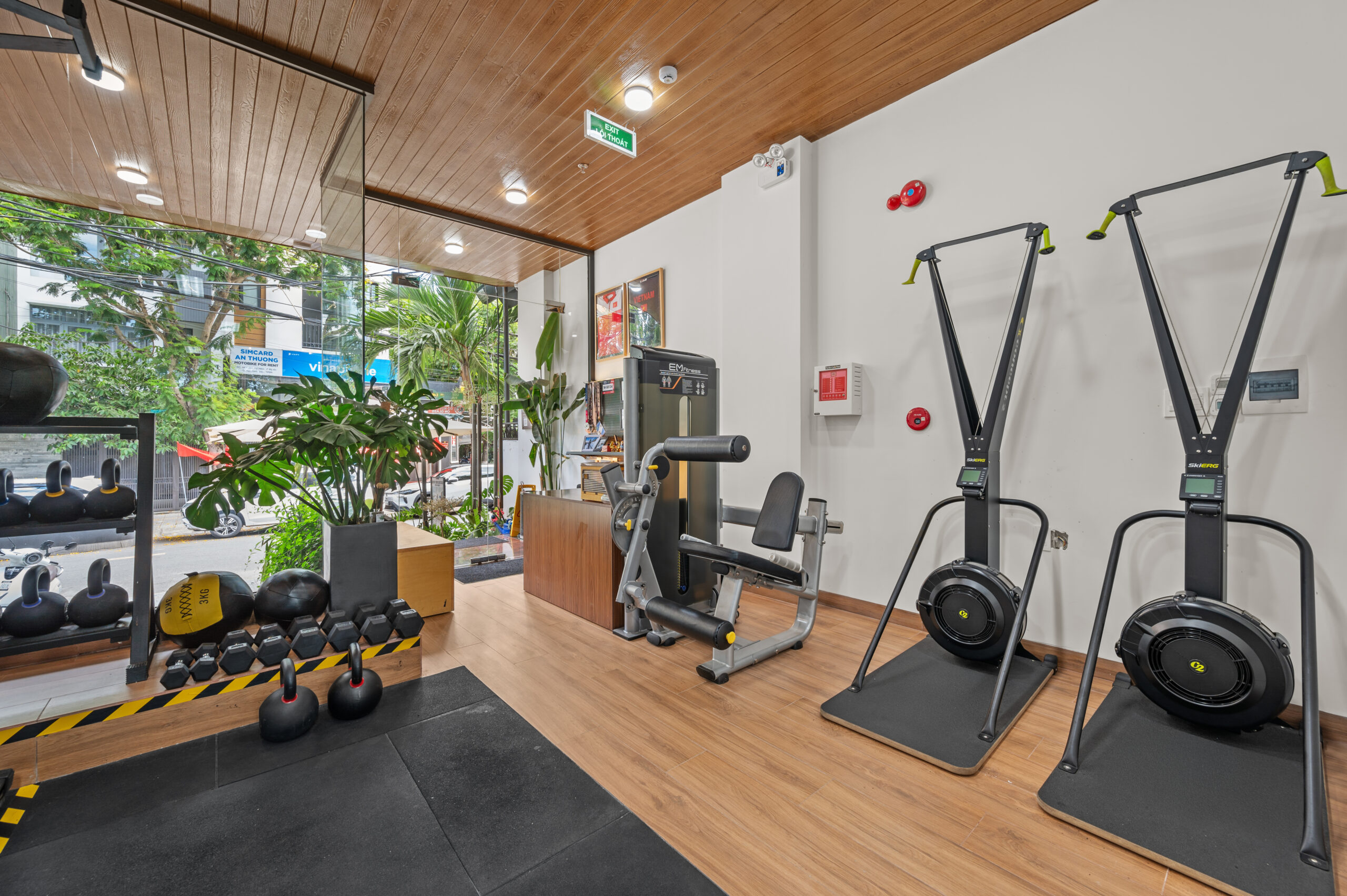 Phan Nguyen studio 14