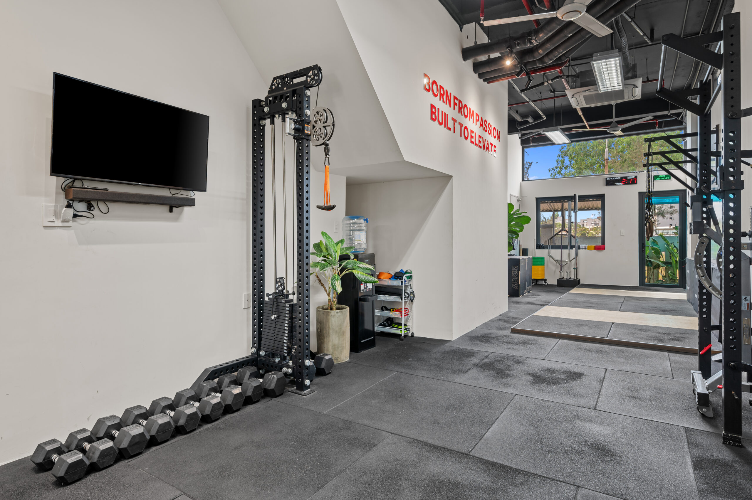 Phan Nguyen studio 17